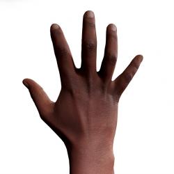  Metrine Retopo Hand Scan